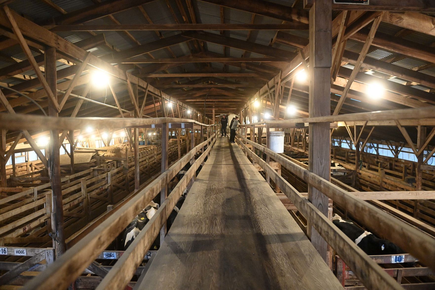 Carlisle Livestock Auction 2.JPG
